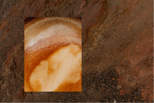 The Impact of Terroir on Coffee: How Soil, Climate, and Altitude Shape Flavor